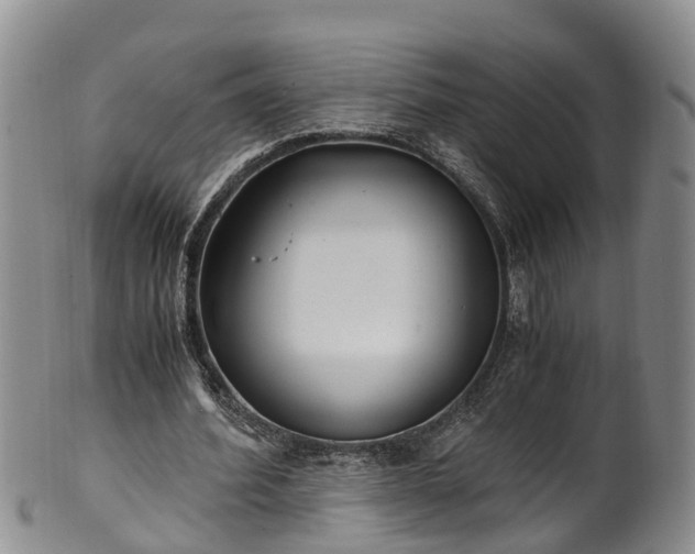 X0000102370580200808081154