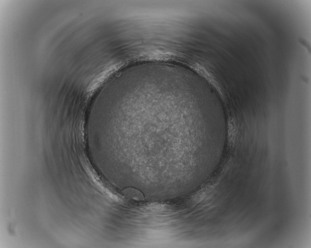 X0000102370581200808081154