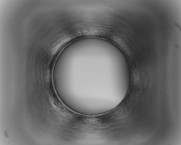 X0000102370583200808081154