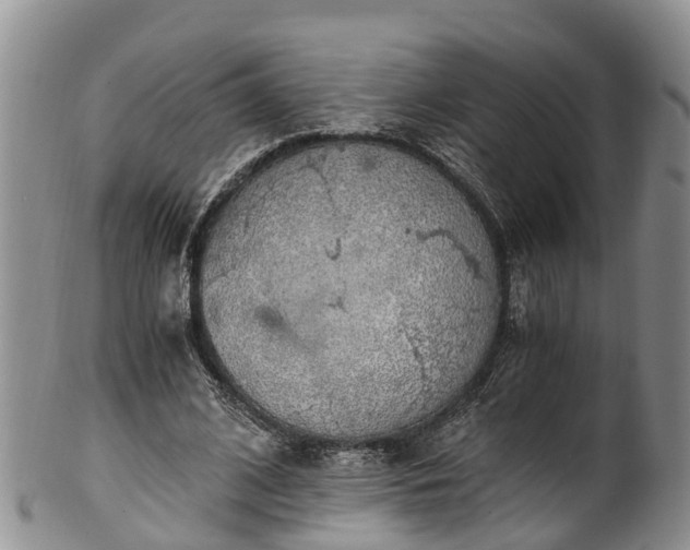 X0000102370584200808081154