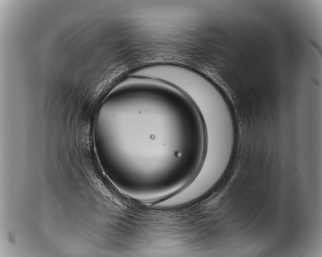 X0000102370585200808081154