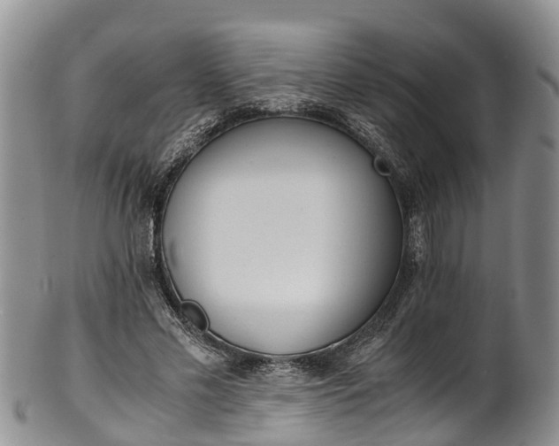 X0000102370589200808081154