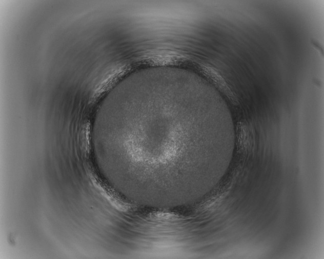 X0000102370590200808081154