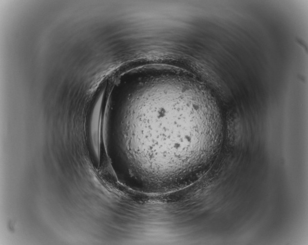 X0000102370592200808081154