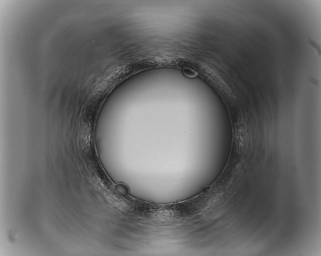 X0000102370593200808081154