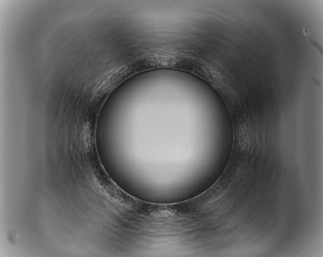 X0000102370594200808081154