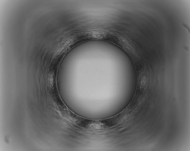 X0000102370595200808081154