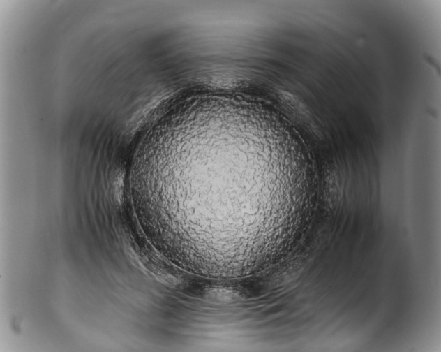 X0000102370596200808081154