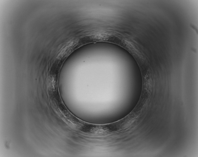 X0000102370597200808081154