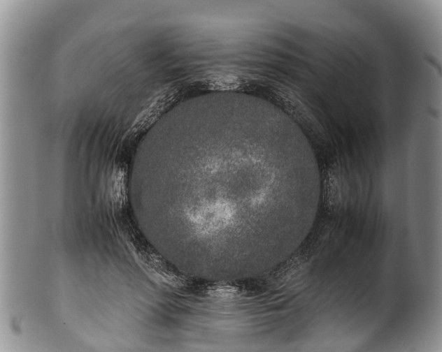 X0000102370598200808081154