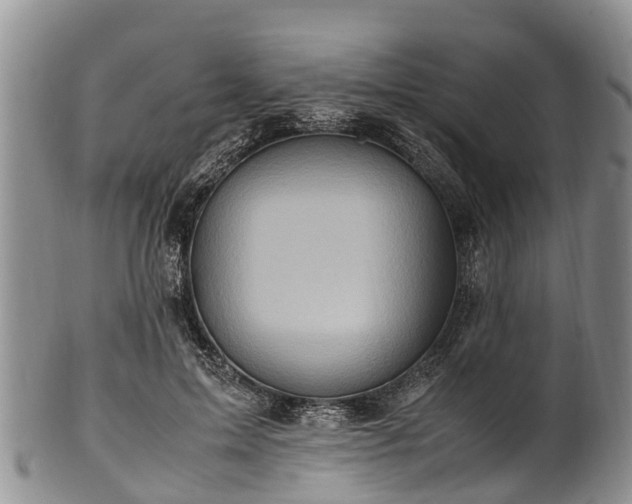 X0000102370599200808081154