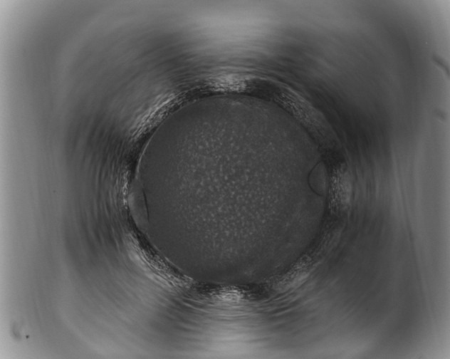 X0000102370600200808081154