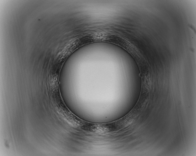 X0000102370601200808081154