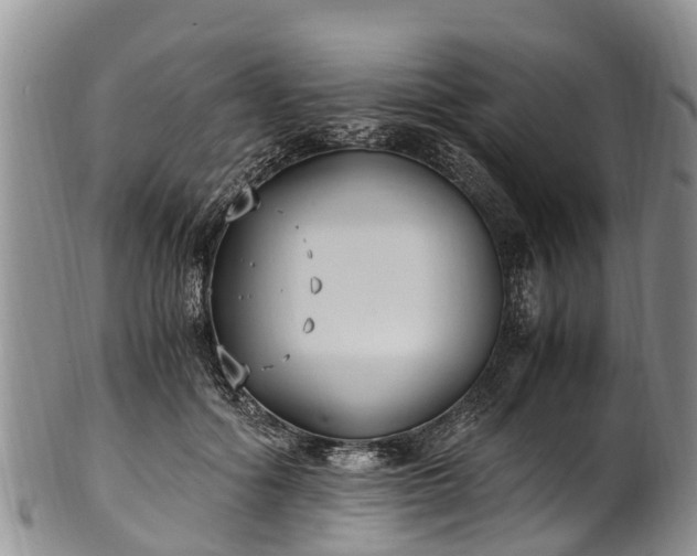 X0000102370602200808081154