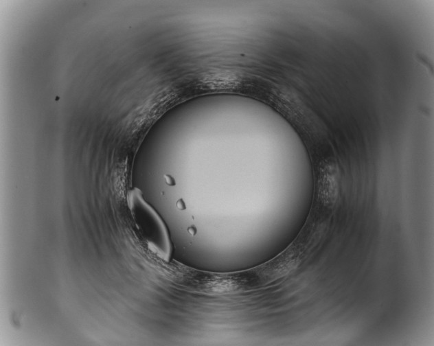 X0000102370604200808081154