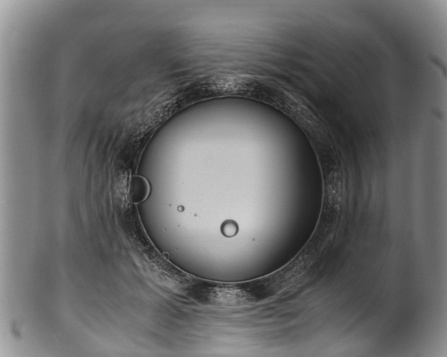 X0000102370605200808081154