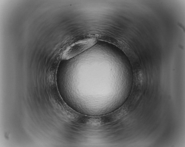 X0000102370606200808081154