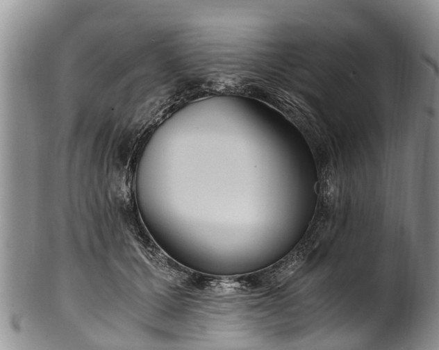 X0000102370607200808081154