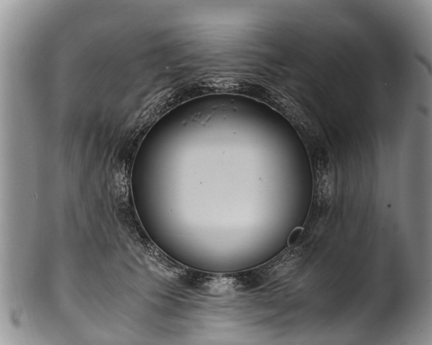 X0000102370609200808081154