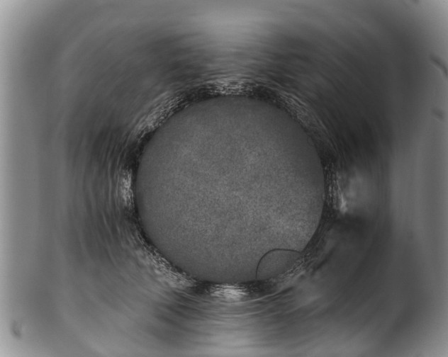 X0000102370610200808081154