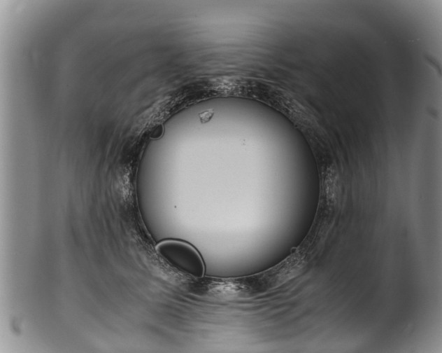 X0000102370611200808081154