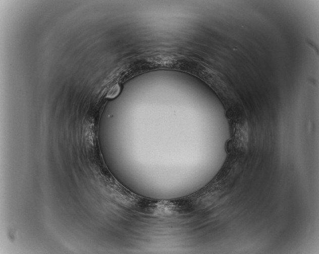 X0000102370612200808081154