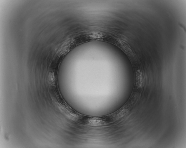 X0000102370614200808081154