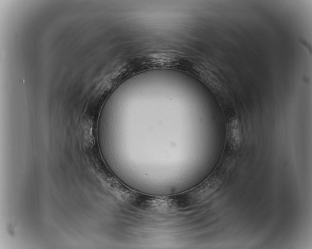 X0000102370615200808081154