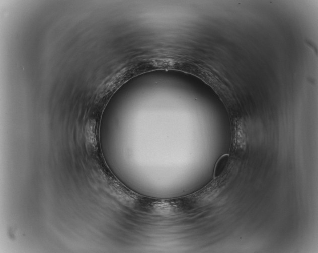 X0000102370616200808081154