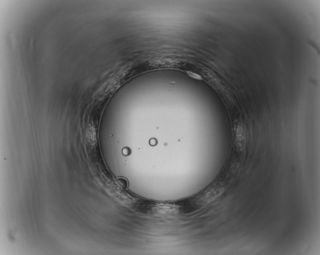 X0000102370617200808081154