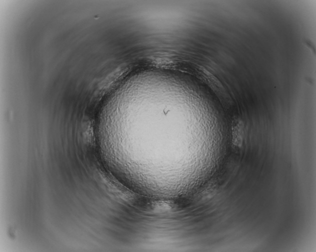 X0000102370618200808081154