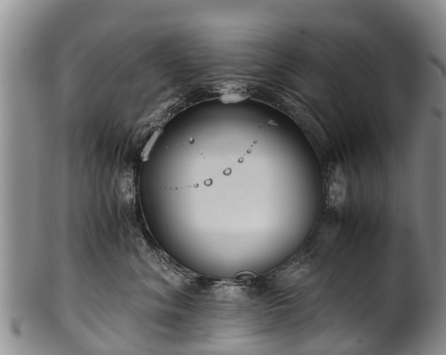 X0000102370620200808081154