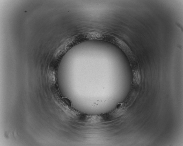 X0000102370621200808081154