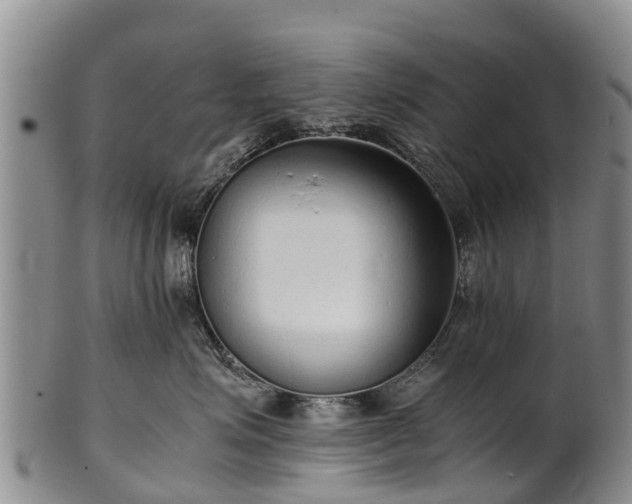 X0000102370623200808081154