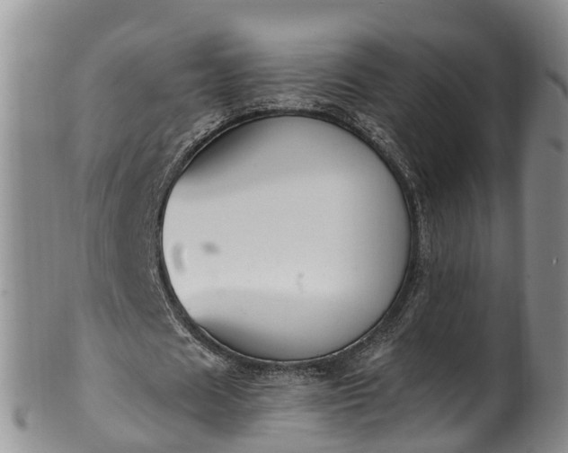 X0000102370625200808081153