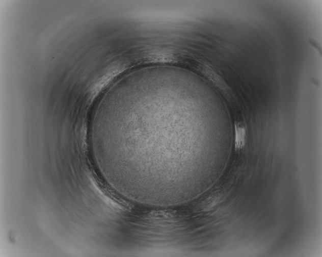 X0000102370627200808081153