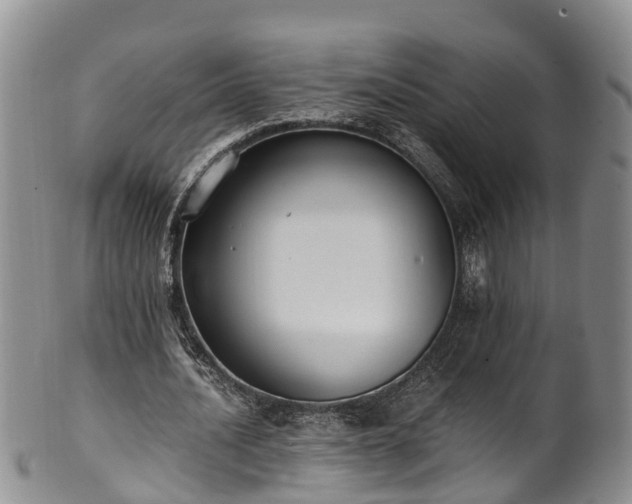 X0000102370628200808081153