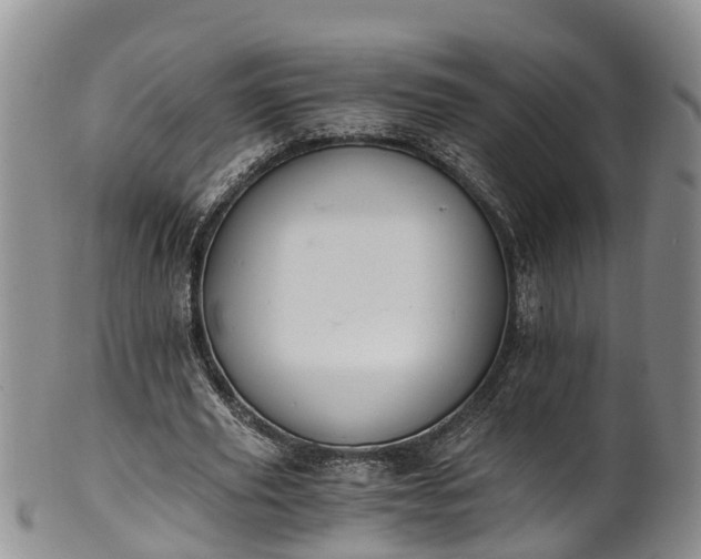 X0000102370629200808081153