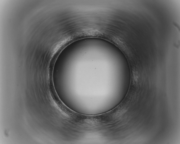 X0000102370630200808081153