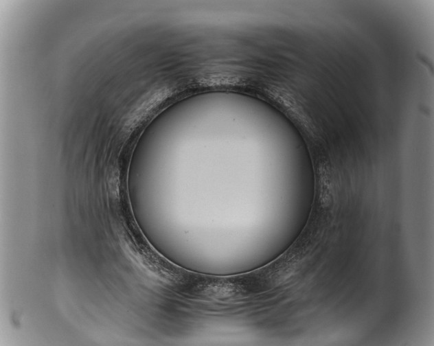 X0000102370631200808081153