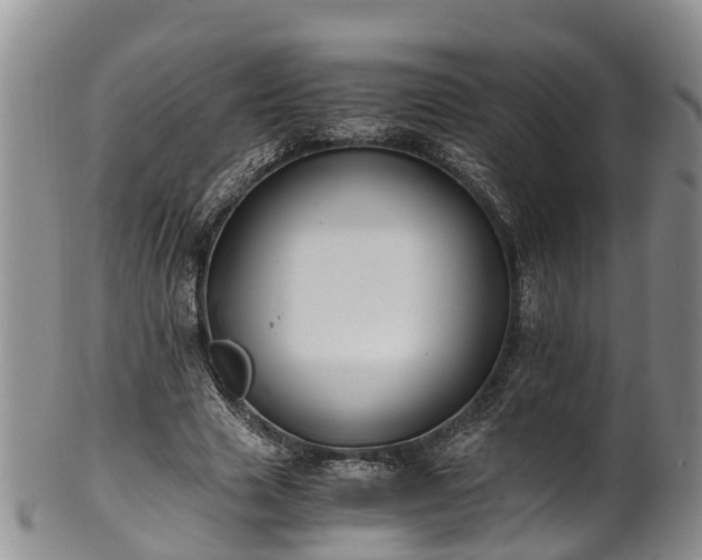 X0000102370633200808081153