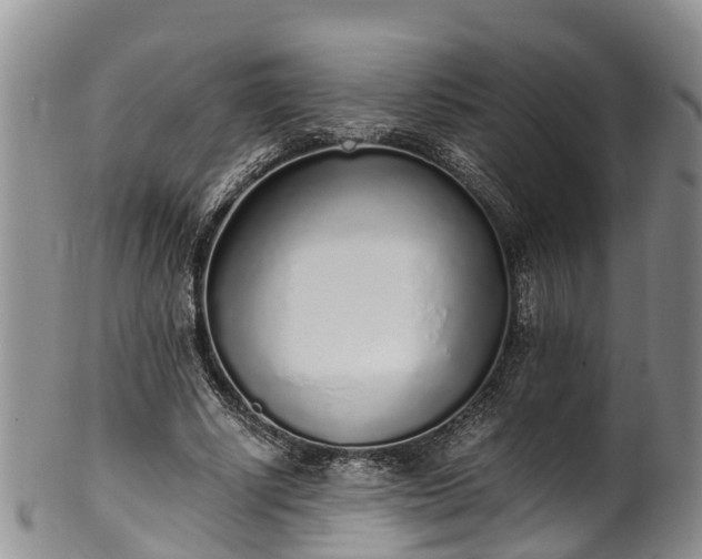 X0000102370634200808081153