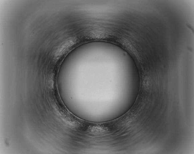 X0000102370635200808081153