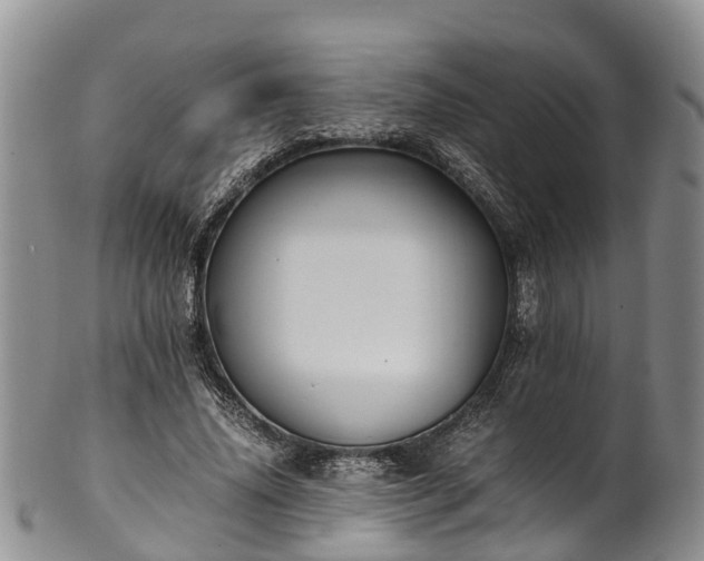 X0000102370636200808081153