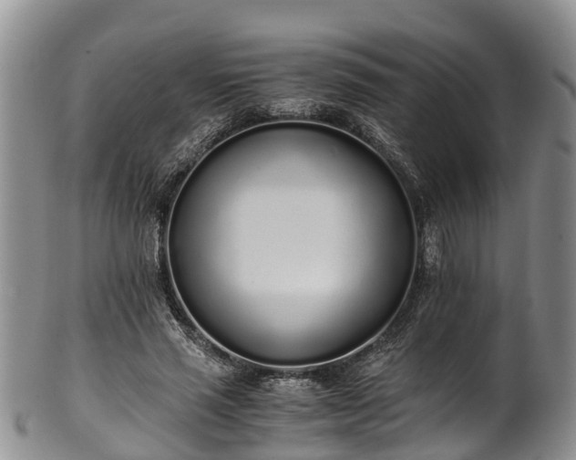 X0000102370637200808081153