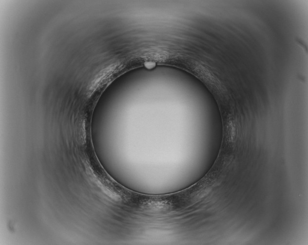 X0000102370638200808081153