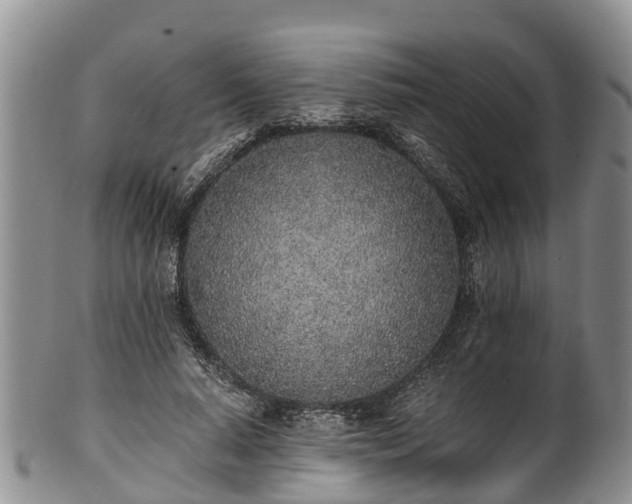 X0000102370640200808081153