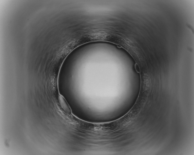 X0000102370641200808081153