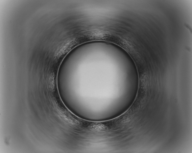 X0000102370642200808081153