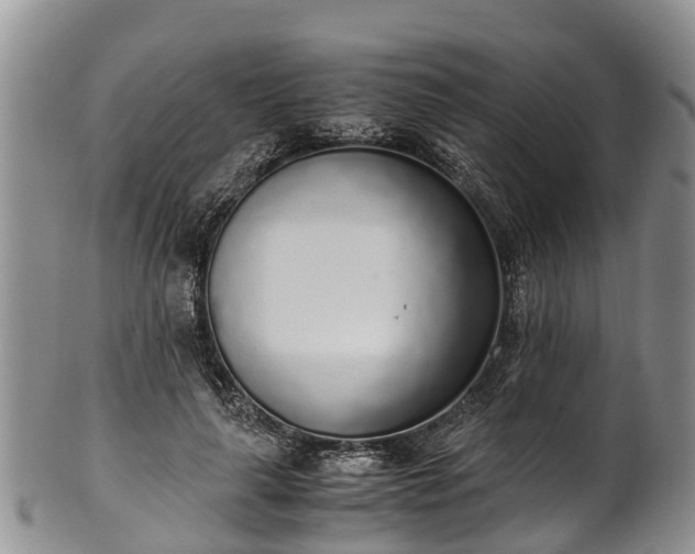 X0000102370643200808081153